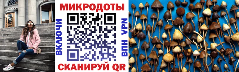 Галлюциногенные грибы GOLDEN TEACHER что такое Энем